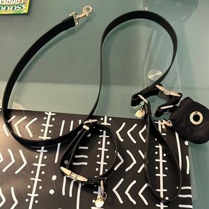 Express Dog Collar and Leash Set